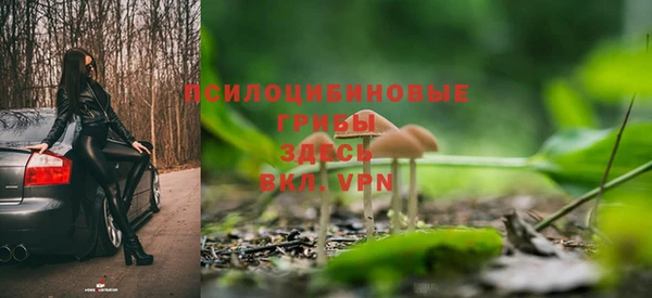 PSILOCYBIN Наволоки